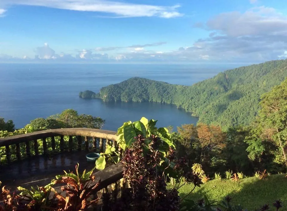 Bed & Breakfast Mahogany Ridge Hotel Arouca