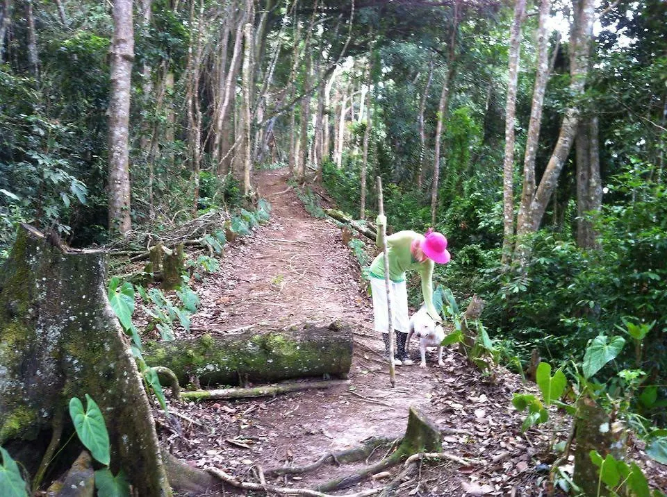Mahogany Ridge Hotel Arouca