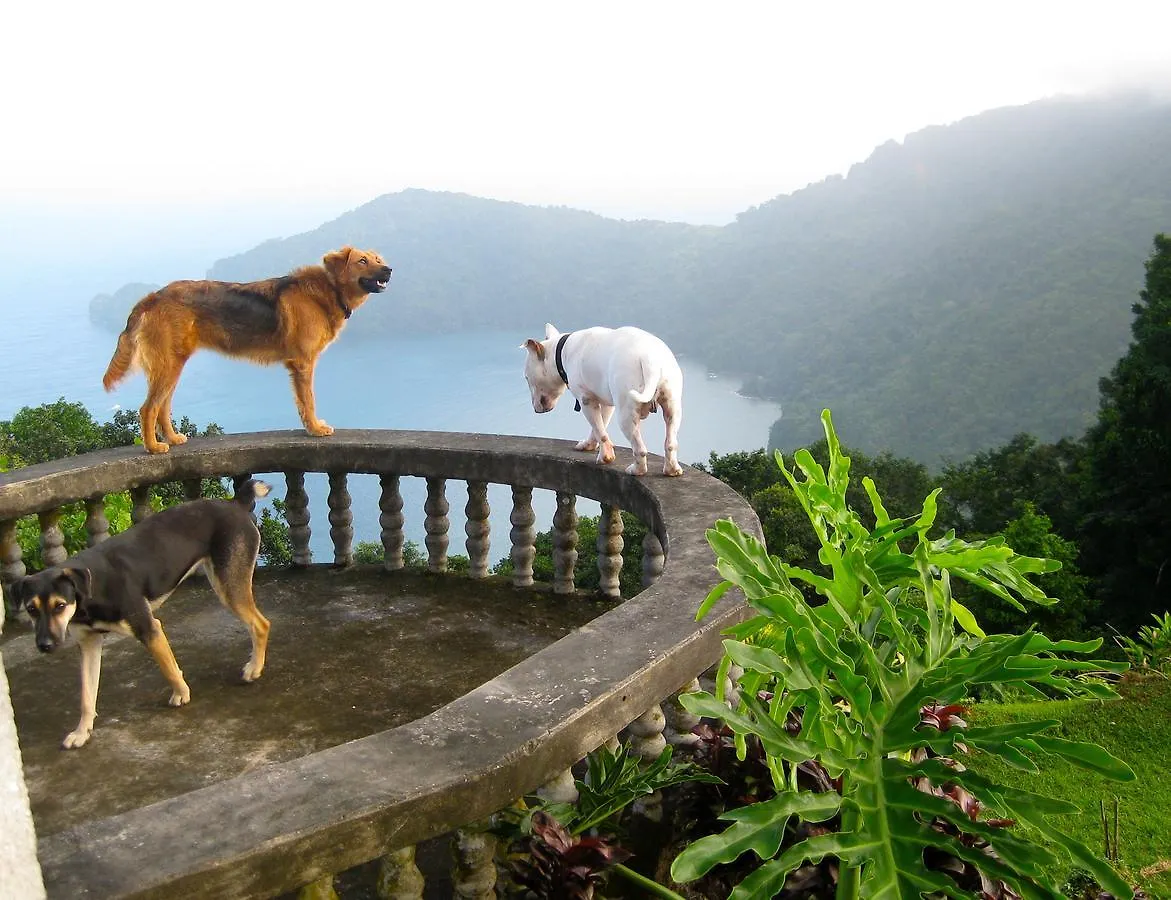 Bed & Breakfast Mahogany Ridge Hotel Arouca Trinidad And Tobago
