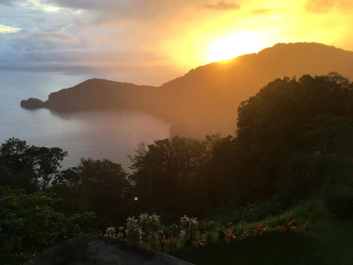 Mahogany Ridge Hotel Arouca Bed & Breakfast