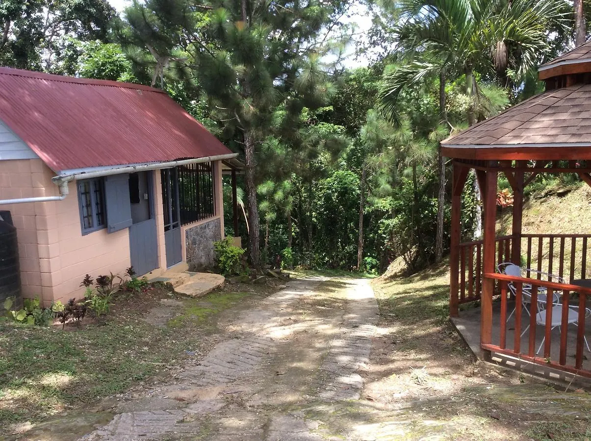 Bed & Breakfast Mahogany Ridge Hotel Arouca
